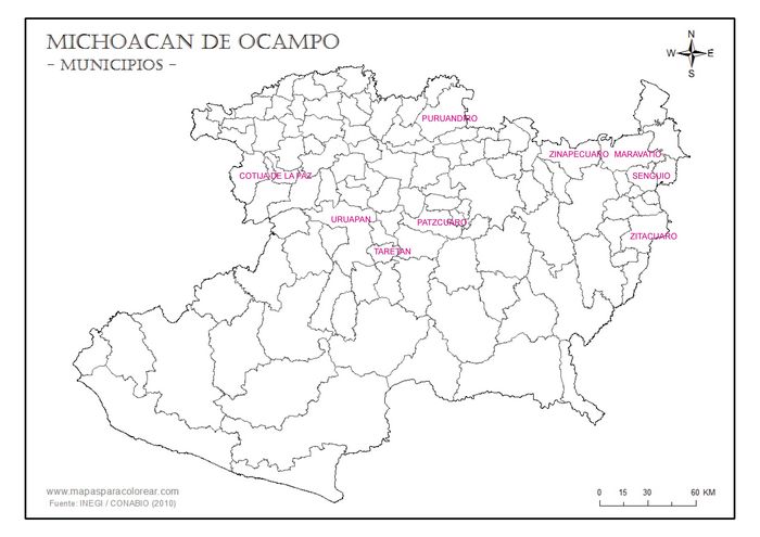 Michoacan local issues