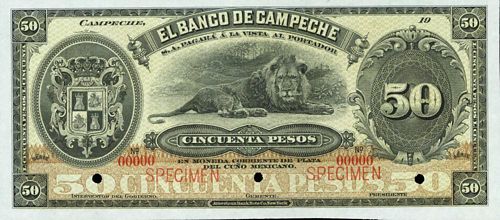 Campeche 50 specimen