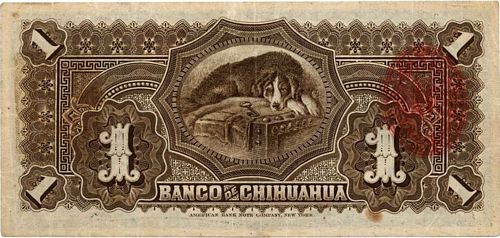 Chihuahua 1 A 45682 reverse
