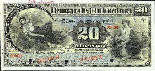 Chihuahua 20 A 00000
