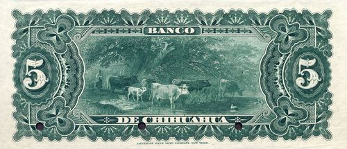 Chihuahua 5 reverse