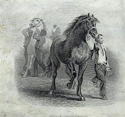 Horse Fair vignette