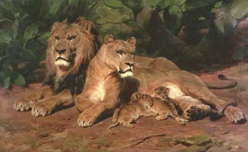 The Lions At Home