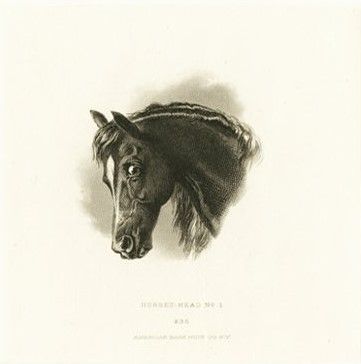 36 Horse Head No 1