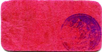 Valle de Santiago 10c C 8993 reverse