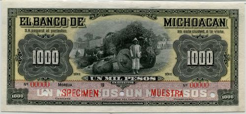 Michoacan 1000 specimen