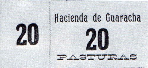 Guaracha Pastura 20c