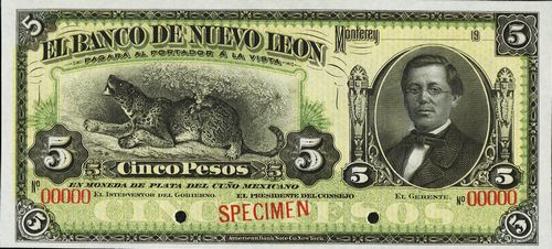 Nuevo Leon 5 specimen