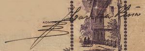 sig Carrera Pena