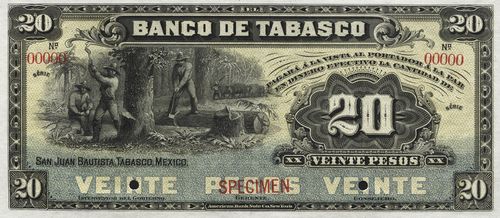 Tabasco 20 specimen