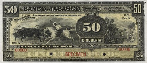 Tabasco 50 specimen