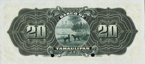 Tamaulipas 20 H 00000 reverse