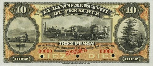 Veracruz 10 1 specimen
