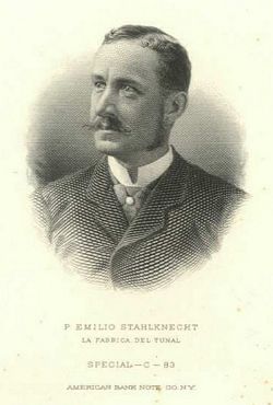 Stahlknecht